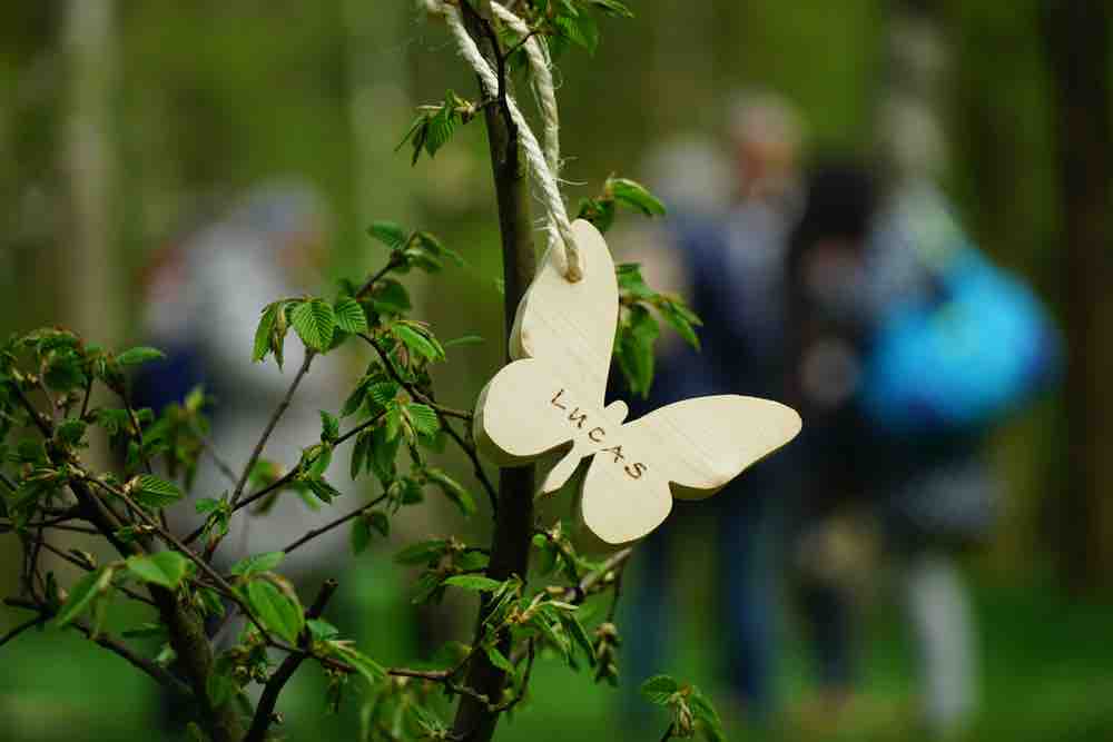Schmetterlingskinder Sternenkinder-Friedhof Schleswig-Holstein